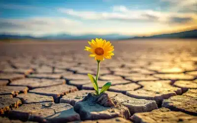 Hope When Anxiety Won’t Back Down: Exploring the Power of TMS as a Breakthrough