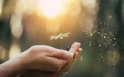 Panic’s Grip Loosens: Exploring the Life-Changing Potential of TMS for Anxiety