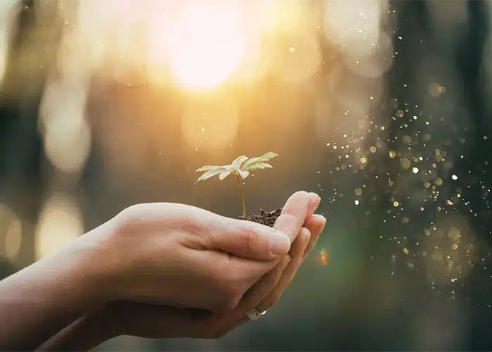 Panic’s Grip Loosens: Exploring the Life-Changing Potential of TMS for Anxiety