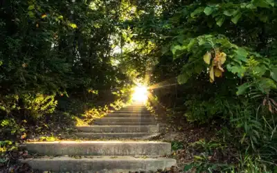 Beyond Medication: TMS Therapy for Treatment-Resistant Depression